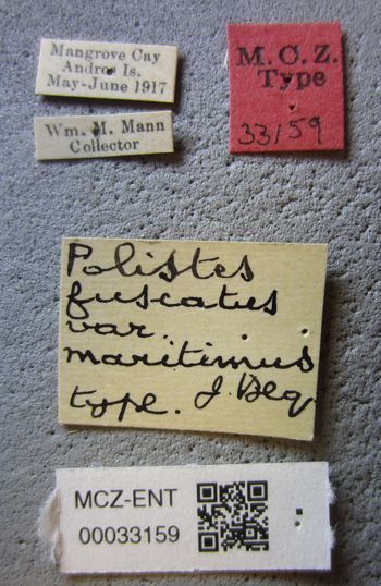 Media type: image;   Entomology 33159 Aspect: labels